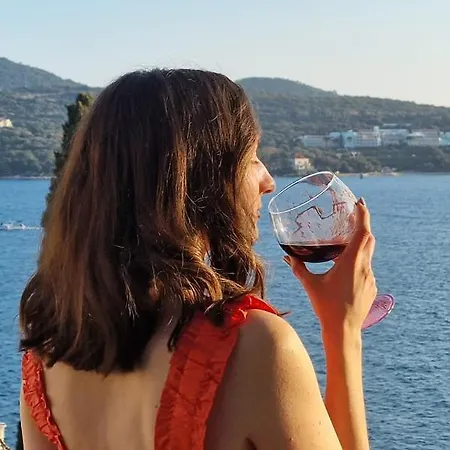 Ana Lozica With Terrace *