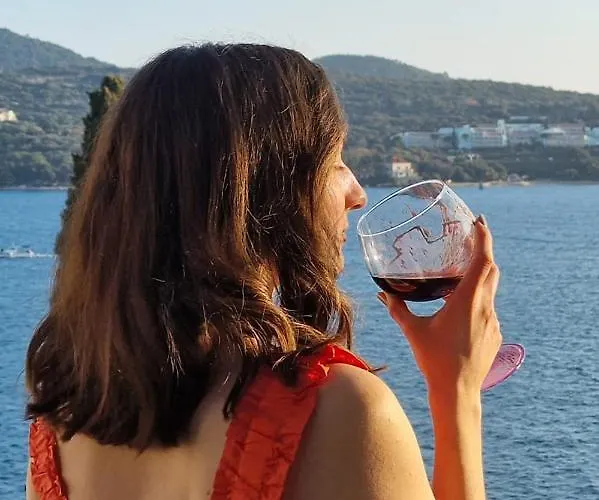 Ana Lozica With Terrace *