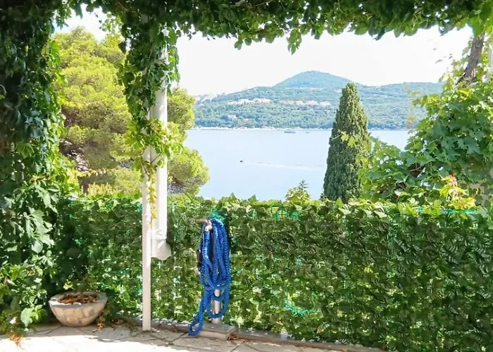 Appartement Ana Lozica With Terrace Dubrovnik