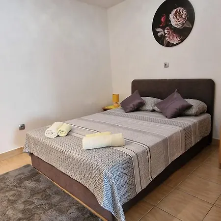 Apartment Ana Lozica With Terrace