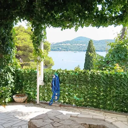 Apartment Ana Lozica With Terrace Dubrovnik